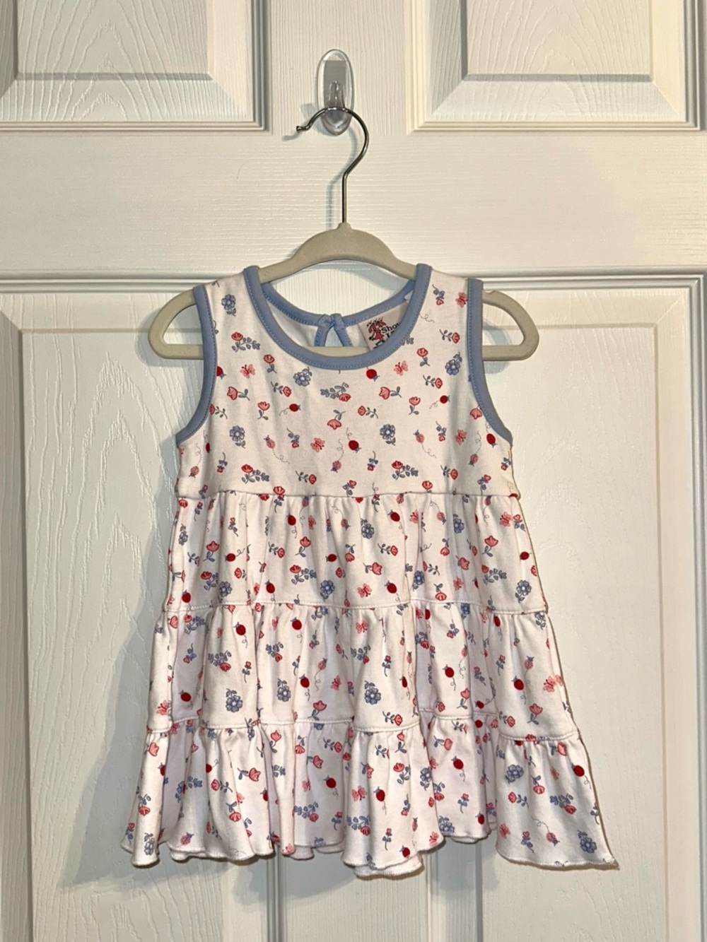 Shower Me With Love flower and ladybug print dress 24 months